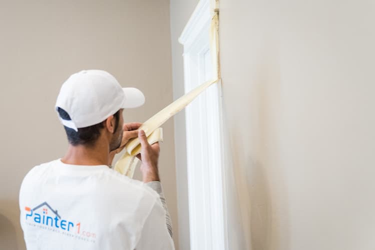 Painter1 of Greater North Austin