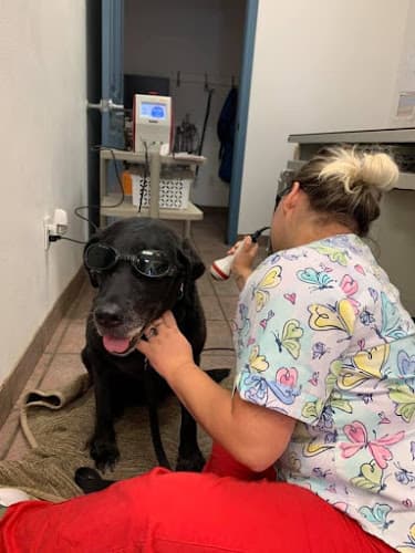 Hill Country Veterinary Hospital