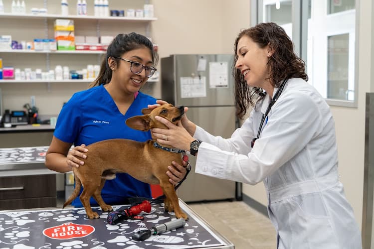 Firehouse Animal Health Center Cedar Park