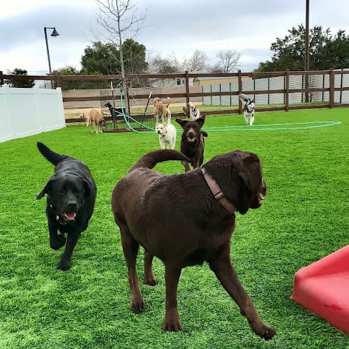 The Dog Ranch at Liberty Hill