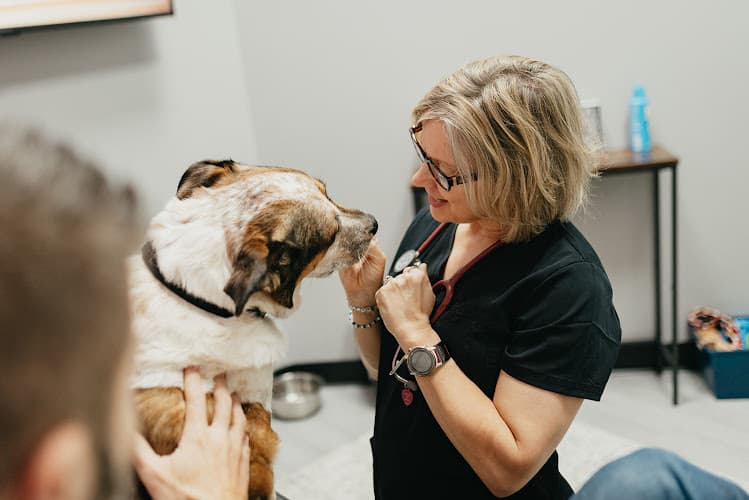 PetVet365 Pet Hospital Leander