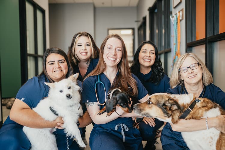PetVet365 Pet Hospital Georgetown