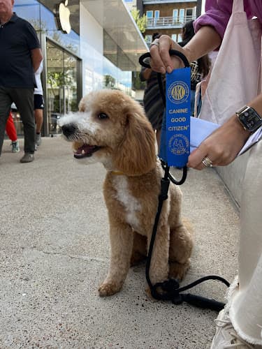 Lone Star Dog Training and Care