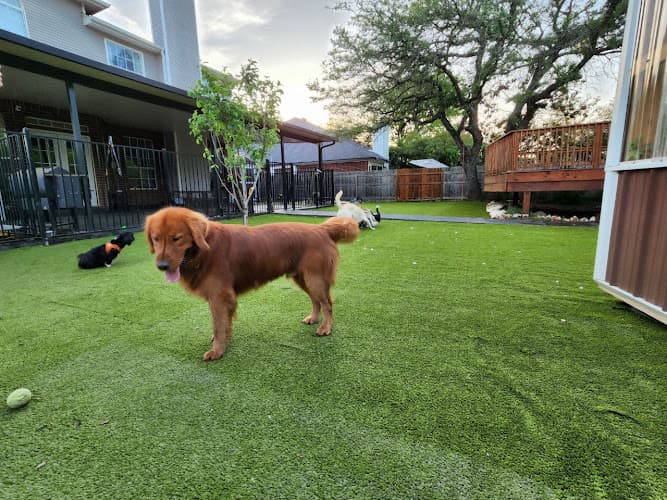 Right at Home Pet Boarding