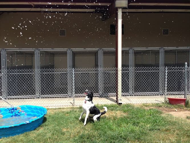 Happy Tails Pet Resort